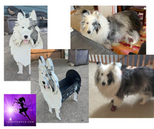 Load image into Gallery viewer, Let this adorable Sheltie Planter box / decor help welcome guests to your home (custom design shown).  Custom dog tags with your dogs name also available here. Great gift for the dog lovers in your life!