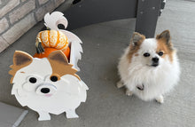 Load image into Gallery viewer, Let this adorable Poodle Dog Planter help welcome guests to your home.  Custom dog tags with your dogs name also available (please message us - adds $5 to cost of planter box).  Great gift for the dog lovers in your life!