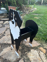 Load image into Gallery viewer, Celebrate the gentle, loyal spirit of this beloved breed with our Bernese Mountain Dog Planter Box Decor—a heartwarming statement piece that’s perfect for welcoming guests to your home. With its signature tri-color markings and sweet expression, this handcrafted planter captures the charm of the Bernese Mountain Dog beautifully.