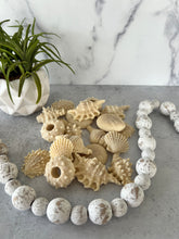 Load image into Gallery viewer, Adorable seashell oatmeal soaps will bring a touch of the sea into your home. Available in unscented or Ocean Breeze scent. The moisturizing oils used in our soaps produce a rich luxurious lather that leaves your skin clean & soft without stripping the natural oils.