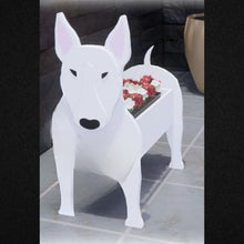 Load image into Gallery viewer, Let this adorable Bull Terrier Planter box / decor help welcome guests to your home.  Custom dog tags with your dogs name also available here. Great gift for the dog lovers in your life! 