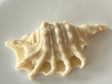 Load image into Gallery viewer, Adorable seashell oatmeal soaps will bring a touch of the sea into your home. Available in unscented or Ocean Breeze scent. The moisturizing oils used in our soaps produce a rich luxurious lather that leaves your skin clean & soft without stripping the natural oils.