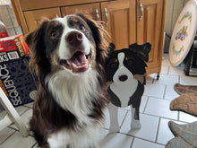 Load image into Gallery viewer, Bring some furry love to your home with our charming Australian Shepherd Dog Planter.  Not only does it welcome guests with it's adorable design, but you can also add a custom dog tag with your pet's name for an extra personal touch (additional $5).  The perfect gift for dog lovers, this planter is sure to bring a smile to anyone's face.  Get yours now and show your love for man's best friend!