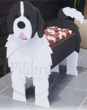 Load image into Gallery viewer, Bring some furry love to your home with our charming Newfoundland Dog 'Newfie' Planter.  Not only does it welcome guests with it's adorable design, but you can also add a custom dog tag with your pet's name for an extra personal touch (additional $5).  The perfect gift for dog lovers, this planter is sure to bring a smile to anyone's face.  Get yours now and show your love for man's best friend.