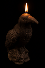 Load image into Gallery viewer, Dark & mysterious, this Raven Beeswax Candle represents a deeper connection between the physical & spiritual world in many cultures.
Because of its black plumage, croaking call, and diet of carrion, the raven is often associated with loss and ill omen. Yet, its symbolism is complex. As a talking bird, the raven also represents prophecy and insight. Ravens in stories often act as psychopomps, connecting the material world with the world of spirits.