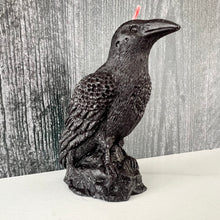 Load image into Gallery viewer, Dark & mysterious, this Raven Beeswax Candle represents a deeper connection between the physical & spiritual world in many cultures.
Because of its black plumage, croaking call, and diet of carrion, the raven is often associated with loss and ill omen. Yet, its symbolism is complex. As a talking bird, the raven also represents prophecy and insight. Ravens in stories often act as psychopomps, connecting the material world with the world of spirits.