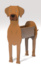Load image into Gallery viewer, Let this adorable Rhodesian Ridgeback Dog Planter help welcome guests to your home.  Custom dog tags with your dogs name also available (please message us - adds $5 to cost of planter box).  Great gift for the dog lovers in your life!