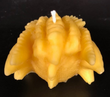 Load image into Gallery viewer, Amazing Dragon Head Beeswax Candle.  Incredibly detailed dragons head takes you right back to the Game of Thrones movie.  Back view.