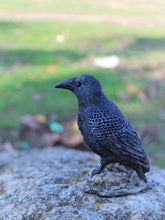 Load image into Gallery viewer, Dark & mysterious, this Raven Beeswax Candle represents a deeper connection between the physical & spiritual world in many cultures. Because of its black plumage, croaking call, and diet of carrion, the raven is often associated with loss and ill omen. Yet, its symbolism is complex. As a talking bird, the raven also represents prophecy and insight. Ravens in stories often act as psychopomps, connecting the material world with the world of spirits.