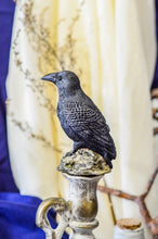 Load image into Gallery viewer, Dark & mysterious, this Raven Beeswax Candle represents a deeper connection between the physical & spiritual world in many cultures. Because of its black plumage, croaking call, and diet of carrion, the raven is often associated with loss and ill omen. Yet, its symbolism is complex. As a talking bird, the raven also represents prophecy and insight. Ravens in stories often act as psychopomps, connecting the material world with the world of spirits.