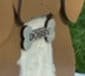 Load image into Gallery viewer, Add your personalized touch to your planter box with one of our custom made dog tags.  Made of 1/4" maple plywood, painted to your desired color & engraved with your dogs name on it.  Also makes a great gift for those dog lovers in your life!