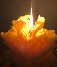 Load image into Gallery viewer, Get ready for the leaves changing colors & crisp fall days with this beautiful Fall Leaves Beeswax Candle.  Adds a beautiful touch to centerpieces, Thanksgiving decor or Halloween decor.  Available in orange, burgundy or yellow with a sparkly center.
