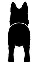 Load image into Gallery viewer, Super cute, customizable leash holder.  Custom laser cut & painted.  Add your dog's name & type (see photos) to personalize your sign!