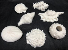 Load image into Gallery viewer, Adorable seashell oatmeal soaps will bring a touch of the sea into your home. Available in unscented or Ocean Breeze scent. The moisturizing oils used in our soaps produce a rich luxurious lather that leaves your skin clean & soft without stripping the natural oils. Perfect for Valentine's Day gifts, Christmas gifts, birthday gifts, wedding shower gifts, Mother's Day gifts & more!