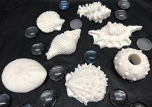 Load image into Gallery viewer, Adorable seashell oatmeal soaps will bring a touch of the sea into your home. Available in unscented or Ocean Breeze scent. The moisturizing oils used in our soaps produce a rich luxurious lather that leaves your skin clean & soft without stripping the natural oils. Perfect for Valentine's Day gifts, Christmas gifts, birthday gifts, wedding shower gifts, Mother's Day gifts & more!