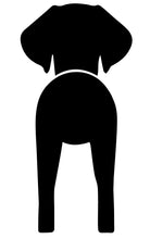 Load image into Gallery viewer, Super cute, customizable leash holder.  Custom laser cut & painted.  Add your dog's name & type (see photos) to personalize your sign!