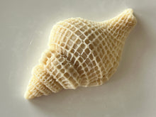 Load image into Gallery viewer, Adorable seashell oatmeal soaps will bring a touch of the sea into your home.  Available in unscented or Ocean Breeze scent.  The moisturizing oils used in our soaps produce a rich luxurious lather that leaves your skin clean &amp; soft without stripping the natural oils. 
