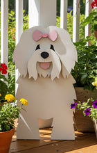 Load image into Gallery viewer, Bring some canine charm to your home with our adorable Coton de Tulear Dog Planter. Not only does it welcome guests with its cute design, but you can also add a custom dog tag with your pet's name for an extra personal touch (available through our dog tag listing). The perfect gift for dog lovers, this planter is sure to bring a smile to anyone's face. Get yours now and show your love for man's best friend!
