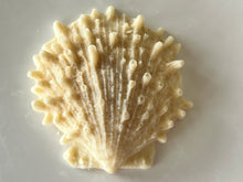 Load image into Gallery viewer, Adorable seashell oatmeal soaps will bring a touch of the sea into your home.  Available in unscented or Ocean Breeze scent.  The moisturizing oils used in our soaps produce a rich luxurious lather that leaves your skin clean &amp; soft without stripping the natural oils. 
