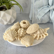 Load image into Gallery viewer, Seashell Oatmeal Soap - Unscented or Ocean Breeze - set of 7 soaps
