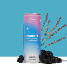 Load image into Gallery viewer, Blackberry lavender 12-pack Botanical Water
