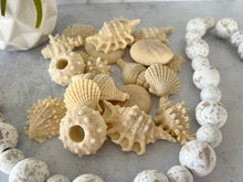 Load image into Gallery viewer, Adorable seashell oatmeal soaps will bring a touch of the sea into your home.  Available in unscented or Ocean Breeze scent.  The moisturizing oils used in our soaps produce a rich luxurious lather that leaves your skin clean &amp; soft without stripping the natural oils. 

