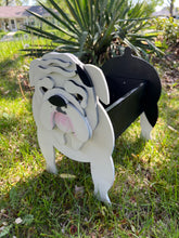 Load image into Gallery viewer, Let this adorable Bulldog Planter help welcome guests to your home.  Custom dog tags with your dogs name also available.  Great gift for the dog lovers in your life!
