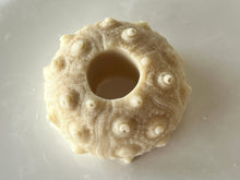 Load image into Gallery viewer, Adorable seashell oatmeal soaps will bring a touch of the sea into your home.  Available in unscented or Ocean Breeze scent.  The moisturizing oils used in our soaps produce a rich luxurious lather that leaves your skin clean &amp; soft without stripping the natural oils. 
