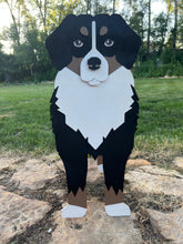 Load image into Gallery viewer, Bernese Mountain Dog planter box 
