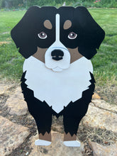 Load image into Gallery viewer, Celebrate the gentle, loyal spirit of this beloved breed with our Bernese Mountain Dog Planter Box Decor—a heartwarming statement piece that’s perfect for welcoming guests to your home. With its signature tri-color markings and sweet expression, this handcrafted planter captures the charm of the Bernese Mountain Dog beautifully.
