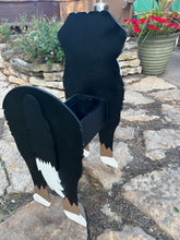 Load image into Gallery viewer, Celebrate the gentle, loyal spirit of this beloved breed with our Bernese Mountain Dog Planter Box Decor—a heartwarming statement piece that’s perfect for welcoming guests to your home. With its signature tri-color markings and sweet expression, this handcrafted planter captures the charm of the Bernese Mountain Dog beautifully.
