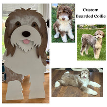 Load image into Gallery viewer, Let this adorable Bearded Collie Planter box / decor help welcome guests to your home. &nbsp;Custom dog tags with your dogs name also available here. Great gift for the dog lovers in your life!&nbsp;

