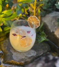 Load image into Gallery viewer, Try one of our new cocktail mixes at you next party!&nbsp; Perfect for backyard barbeques, gifts or holiday parties!&nbsp;&nbsp;
