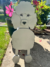 Load image into Gallery viewer, Let this adorable Poodle Dog Planter help welcome guests to your home.  Custom dog tags with your dogs name also available (please message us - adds $5 to cost of planter box).  Great gift for the dog lovers in your life!
