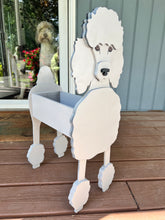 Load image into Gallery viewer, Let this adorable Poodle Dog Planter help welcome guests to your home.  Custom dog tags with your dogs name also available (please message us - adds $5 to cost of planter box).  Great gift for the dog lovers in your life!
