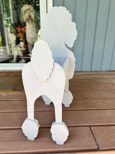 Load image into Gallery viewer, Let this adorable Poodle Dog Planter help welcome guests to your home.  Custom dog tags with your dogs name also available (please message us - adds $5 to cost of planter box).  Great gift for the dog lovers in your life!
