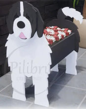 Load image into Gallery viewer, Bring some furry love to your home with our charming Newfoundland Dog &#39;Newfie&#39; Planter.&nbsp; Not only does it welcome guests with it&#39;s adorable design, but you can also add a custom dog tag with your pet&#39;s name for an extra personal touch (additional $5).&nbsp; The perfect gift for dog lovers, this planter is sure to bring a smile to anyone&#39;s face.&nbsp; Get yours now and show your love for man&#39;s best friend.
