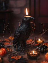 Load image into Gallery viewer, Dark &amp; mysterious, this&nbsp;Raven Beeswax Candle represents a deeper connection between the physical &amp; spiritual world in many cultures. &nbsp;

Because of its black plumage, croaking call, and diet of carrion, the raven is often associated with loss and ill omen. Yet, its symbolism is complex. As a talking bird, the raven also represents prophecy and insight. Ravens in stories often act as psychopomps, connecting the material world with the world of spirits.
