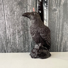Load image into Gallery viewer, Dark &amp; mysterious, this&nbsp;Raven Beeswax Candle represents a deeper connection between the physical &amp; spiritual world in many cultures. &nbsp;

Because of its black plumage, croaking call, and diet of carrion, the raven is often associated with loss and ill omen. Yet, its symbolism is complex. As a talking bird, the raven also represents prophecy and insight. Ravens in stories often act as psychopomps, connecting the material world with the world of spirits.
