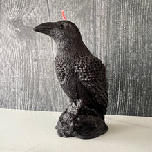 Load image into Gallery viewer, Dark &amp; mysterious, this&nbsp;Raven Beeswax Candle represents a deeper connection between the physical &amp; spiritual world in many cultures. &nbsp;

Because of its black plumage, croaking call, and diet of carrion, the raven is often associated with loss and ill omen. Yet, its symbolism is complex. As a talking bird, the raven also represents prophecy and insight. Ravens in stories often act as psychopomps, connecting the material world with the world of spirits.

