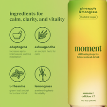 Load image into Gallery viewer, Pineapple Lemongrass 12 packs
