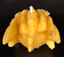 Load image into Gallery viewer, Amazing Dragon Head Beeswax Candle.  Incredibly detailed dragons head takes you right back to the Game of Thrones movie.  Back view.
