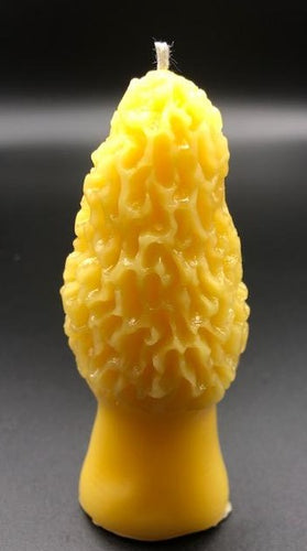 Morel mushroom shaped all natural beeswax candle. Handmade in the USA.  Take the mushroom lovers in our life back to the forest with this Morel Mushroom beeswax candle.  This beautiful, highly detailed candle, measuring approximately 4½ inches tall, is almost as rare a find as the delectable spring mushroom that inspired its shape.  Also available in a smaller version upon request.