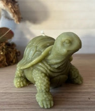 Load image into Gallery viewer, Adorable tortoise beeswax candle.  Real life detail.  Great gifts!
